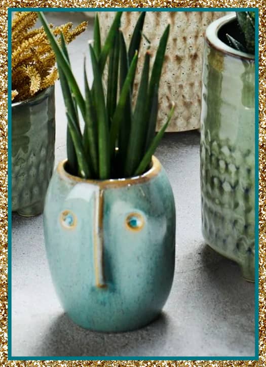 grès visage cactus pot