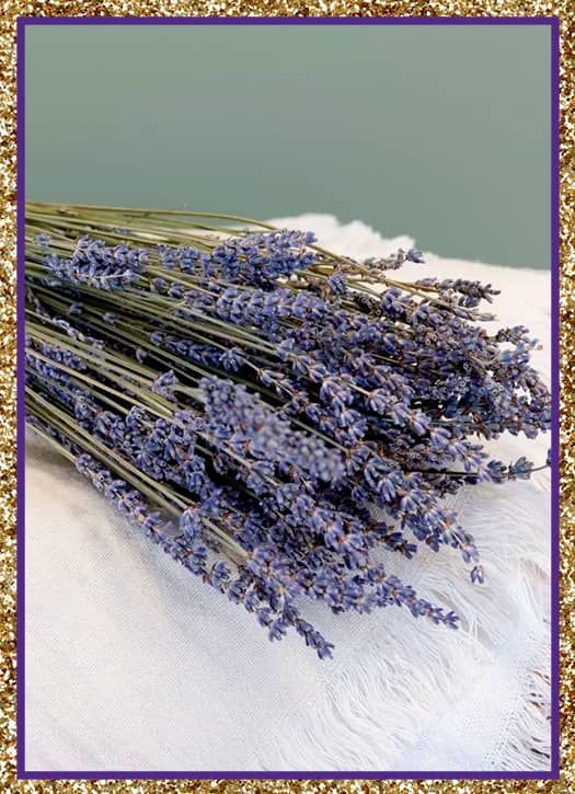 Bouquet of dried lavender from Maison du Monde