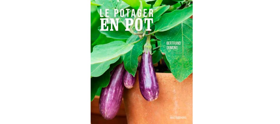 Le livre le potager en pot par Bertrand Dumont aux éditions Multimondes