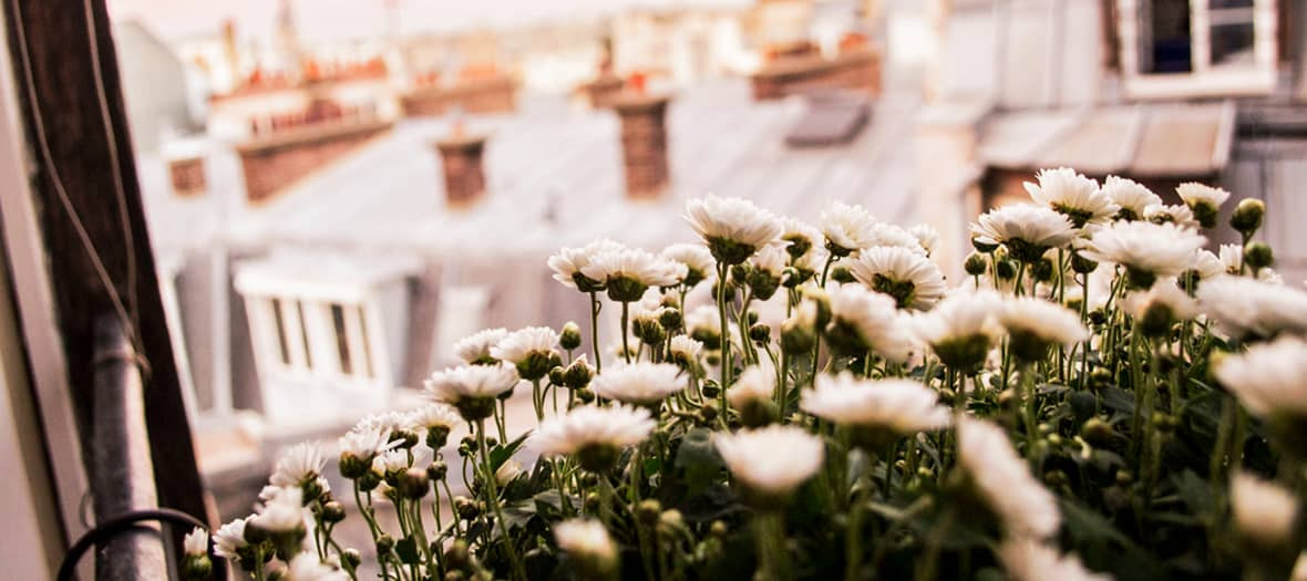 Balcon