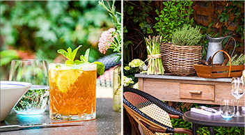 Potager Du Roch Terrasse Paris