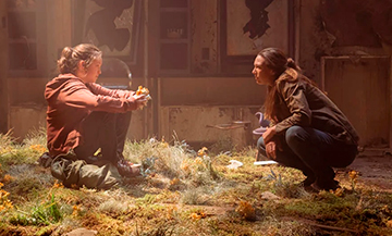 The Last Of Us