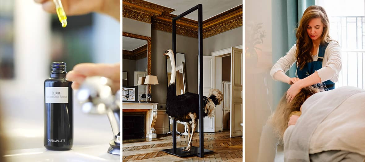 The best hair cares in Paris
