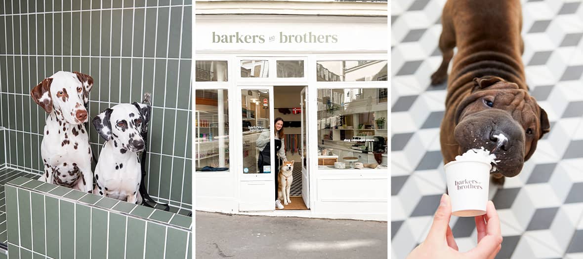 Devanture et intérieur du coffee shop Barkers and Brothers à Paris avec des chiens dégustant une glace fouettée.
