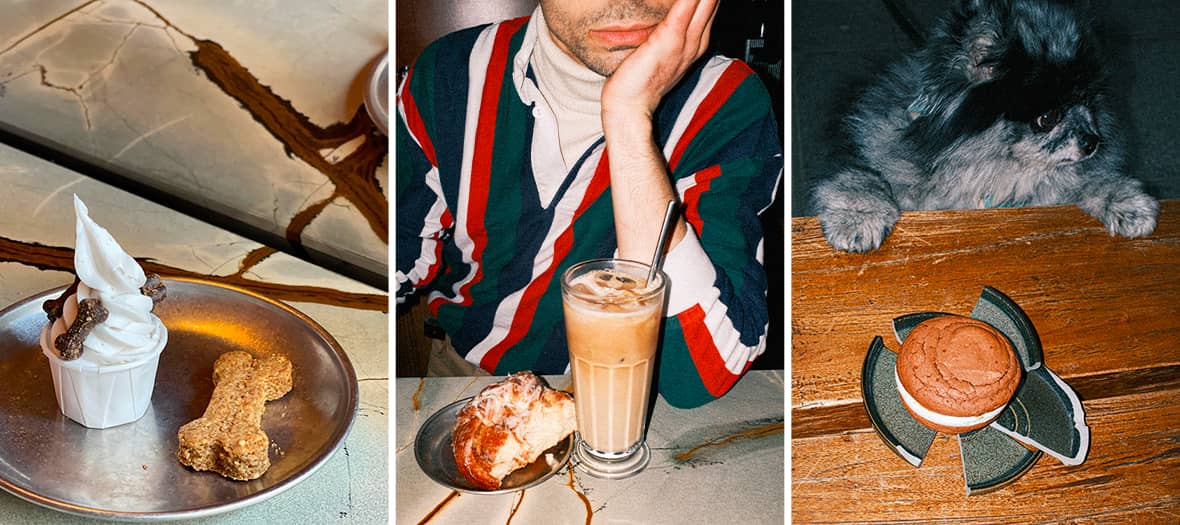 GRAVE café à Paris avec pâtisseries artisanales pour chiens et humains dans une déco stylée et brute