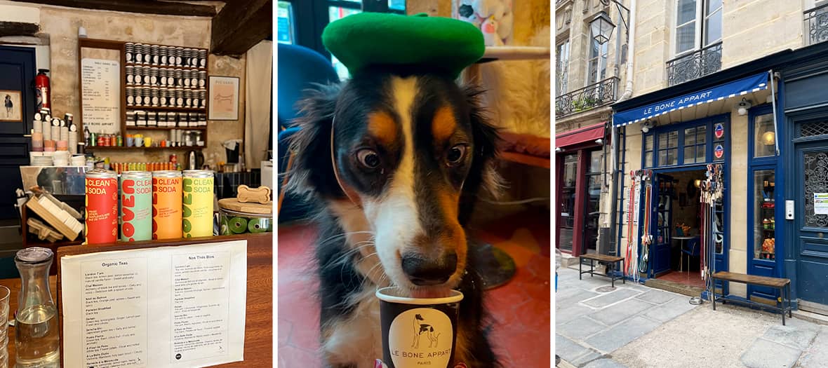 Le Bone Appart à Paris, café chaleureux avec boissons pour chiens et ambiance dog-friendly dans le Marais.