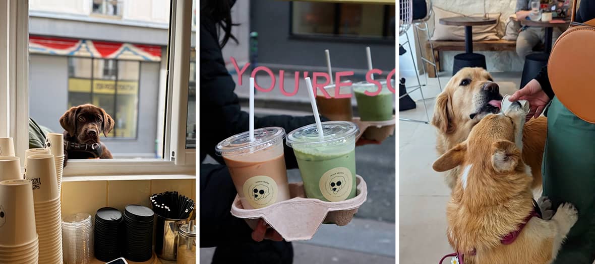 Seven Heaven à Paris, coffee shop vegan avec boissons à emporter et glaces pour chiens servis à la fenêtre.