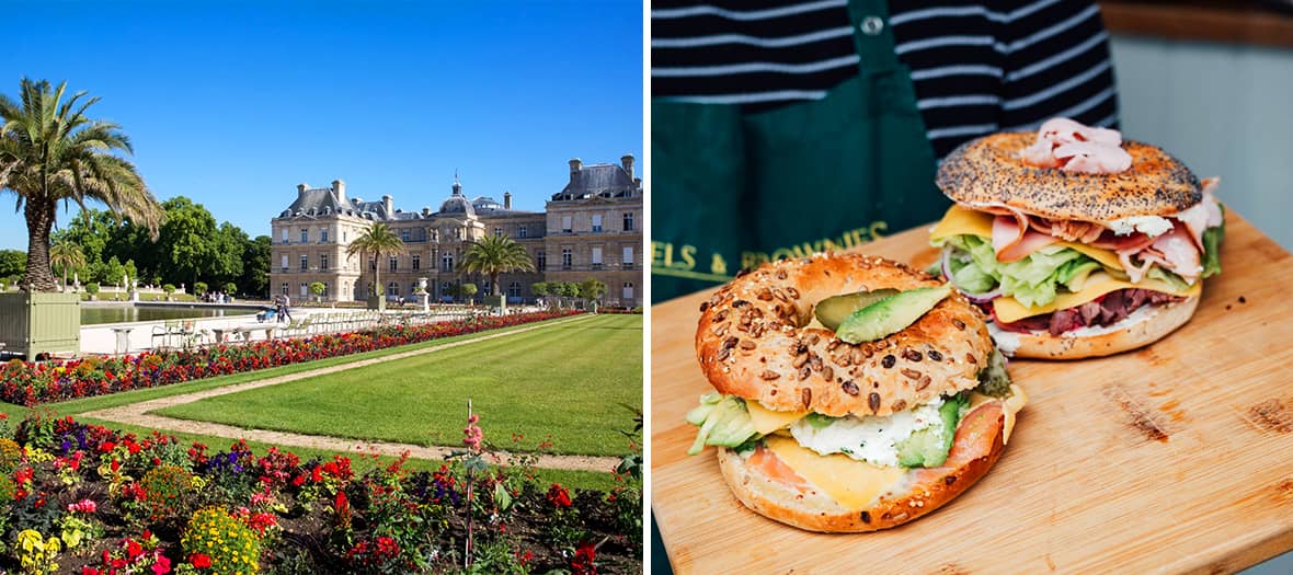 Jardin du Luxembourg fleuri sous le soleil, parfait pour pique-niquer face au Palais du Sénat avec des bagels artisanaux garnis.