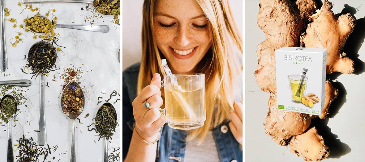 Thé Bistrotea au gingembre présenté avec des plantes infusées, une tasse de thé et des racines de gingembre.