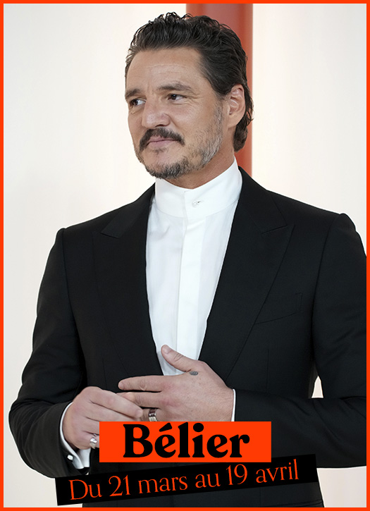 Pedro Pascal en bélier.