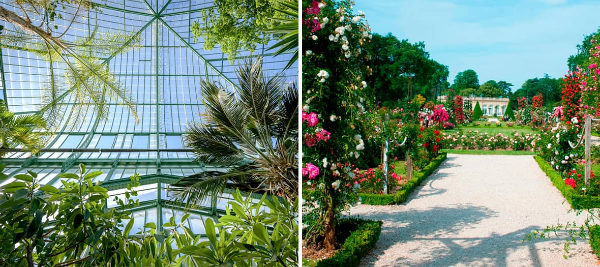 Serres exotiques et roseraie à découvrir dans les jardins du 16e arrondissement