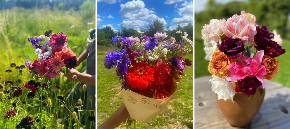 Bouquet de fleurs fraîches cueillies en pleine nature selon le principe du slow flower, à composer près de Paris.