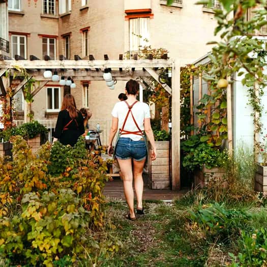 Sélection de plantes comestibles et herbes sauvages récoltées lors d'un atelier botanique à Paris.