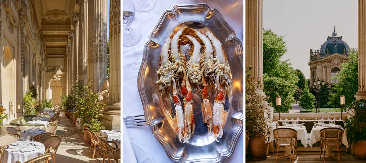 Serveur en terrasse, assiette gastronomique colorée et clients attablés au Grand Café à Paris, ambiance chic en extérieur