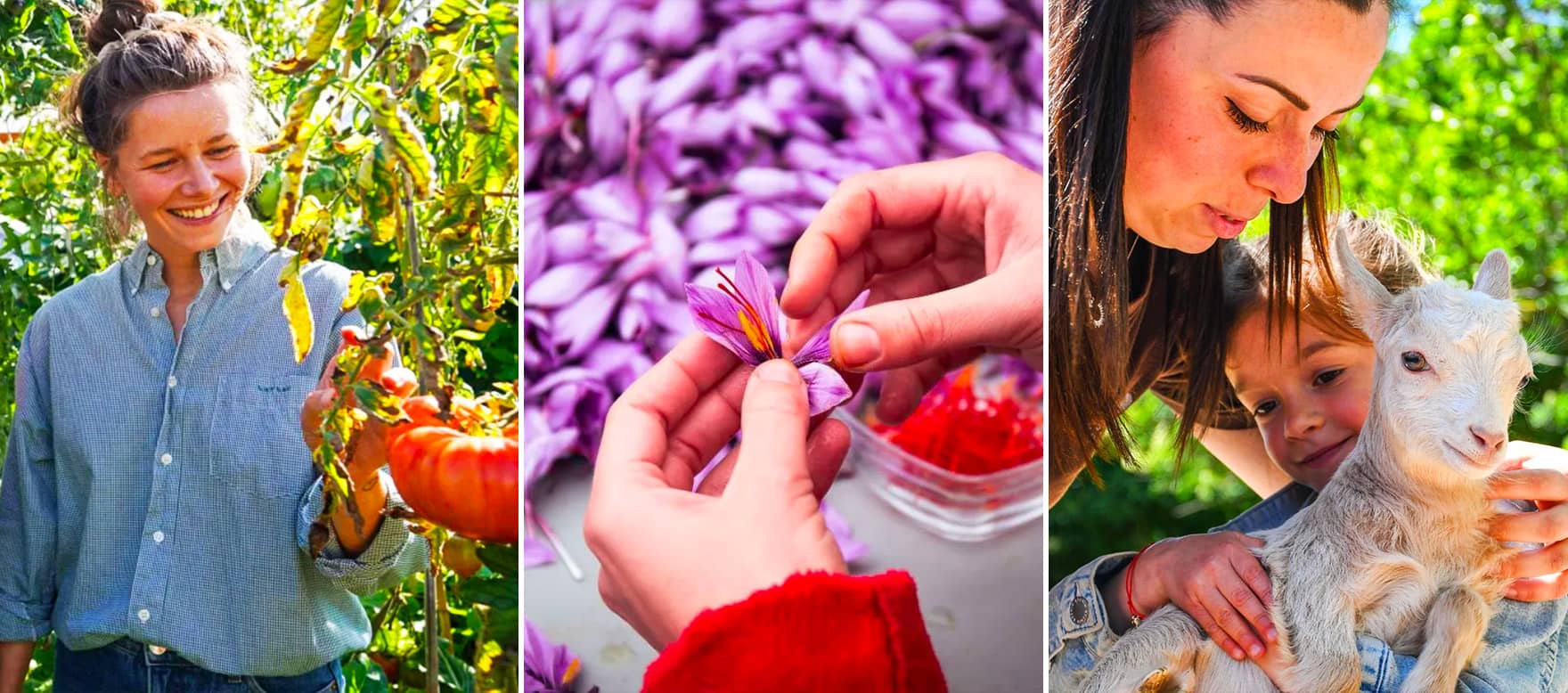 Les ateliers nature en 2024
