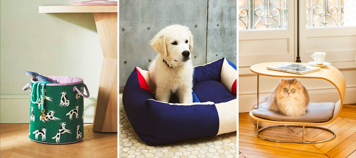 Notre sélection déco pour les chiens et chats 