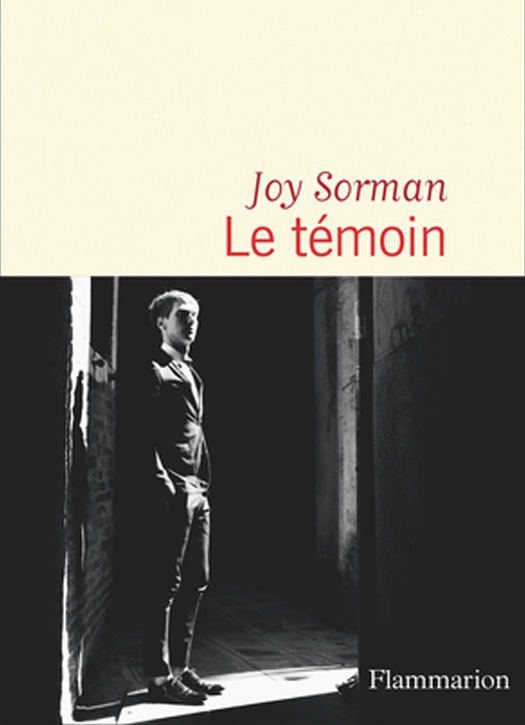 le temoin joy sorman