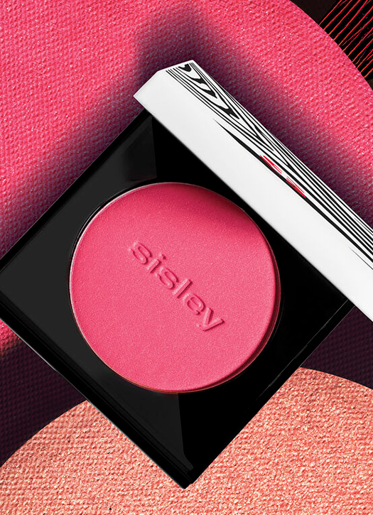 blush sisley rose