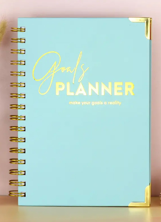 planner temu