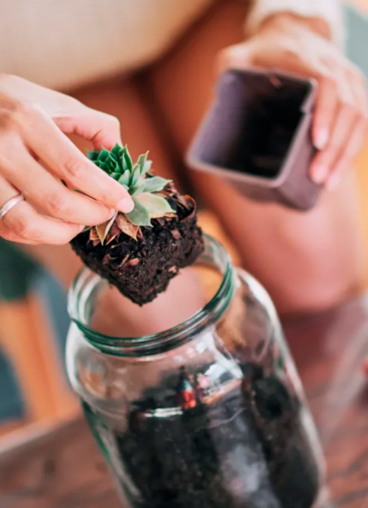 funbooker atelier terrarium