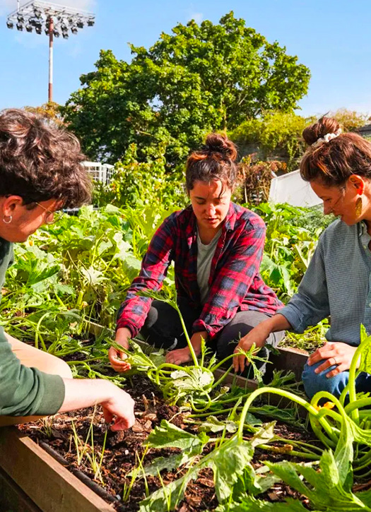 wecandoo permaculture