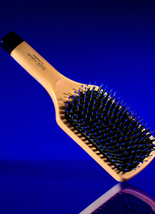 brosse cheveux sisley