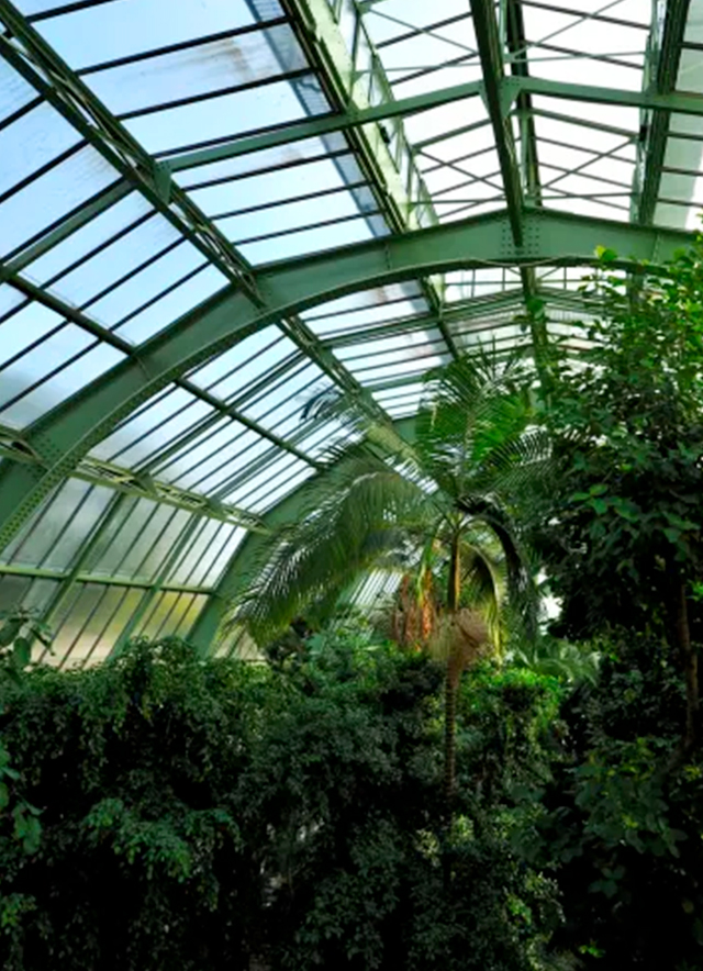 Admirer des plantes exotiques 